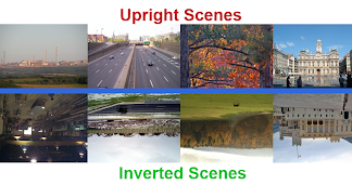 scene classification